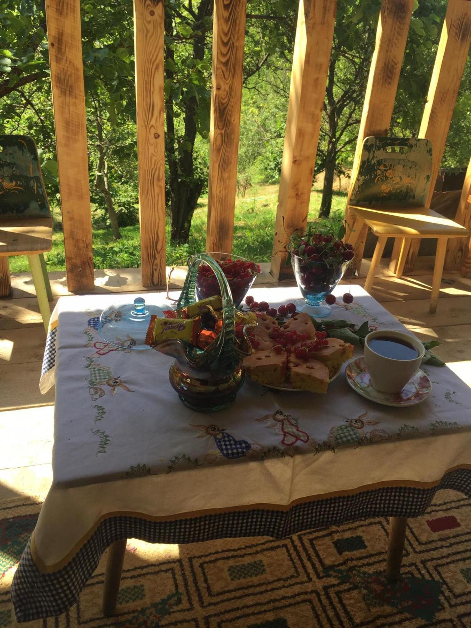 Mesxta Hotel Nakalakevi Cameră foto